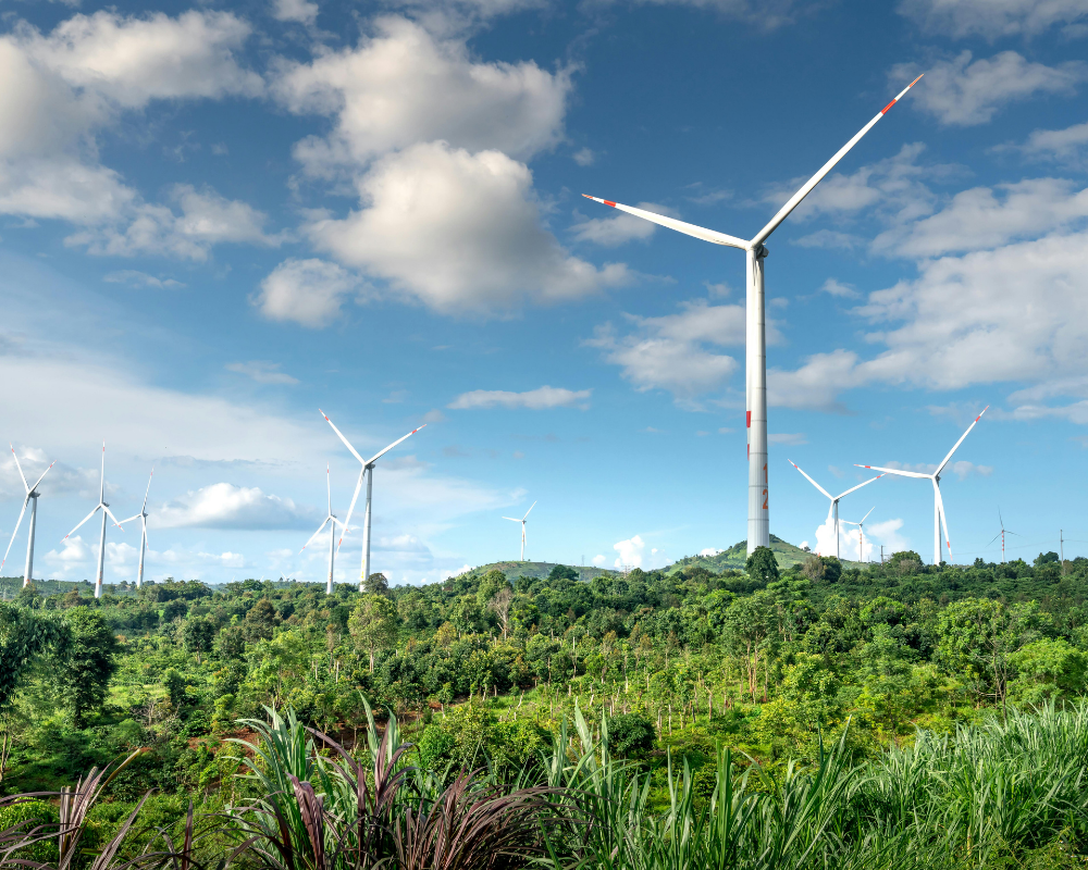 wind power